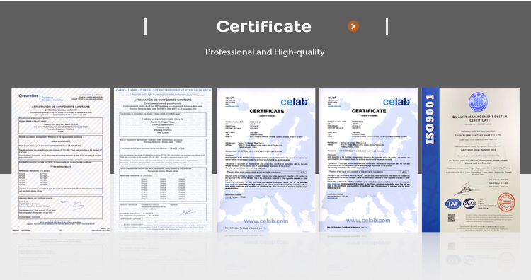 Hot Sales Bathroom Shower Accessories Shower Head Extension With Shower Arm F12 supplier