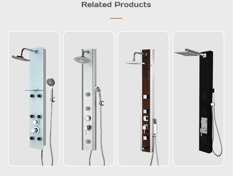 Hot Sales Bathroom Shower Accessories Shower Head Extension With Shower Arm F12 details