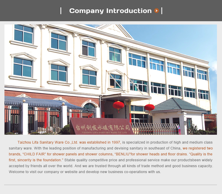 Hot Sales Bathroom Shower Accessories Shower Head Extension With Shower Arm F12 factory