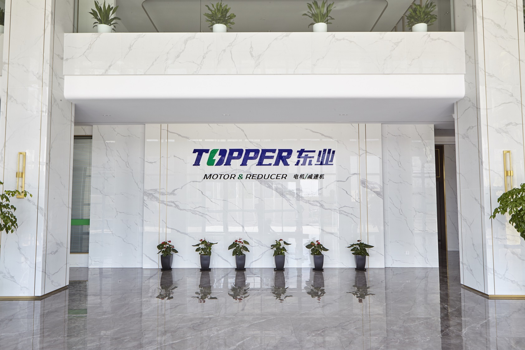 YC series Single Phase Electric Motor 110/220V supplier