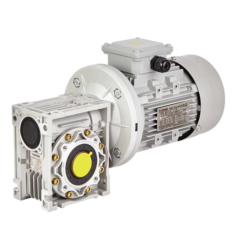 RW050 Worm reducer AC gear motor transmission equipment manufacture