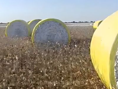 Why Cotton Bale Wrap Is Essential for Protecting Cotton Quality