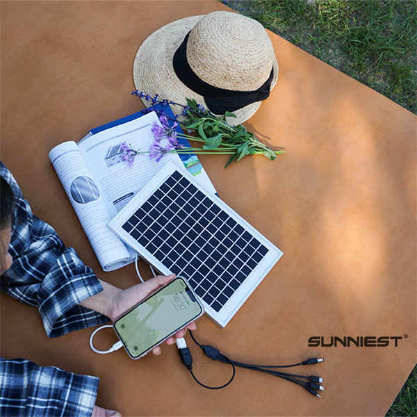 Switching to the Most Efficient PV Panels for Reduced Costs.