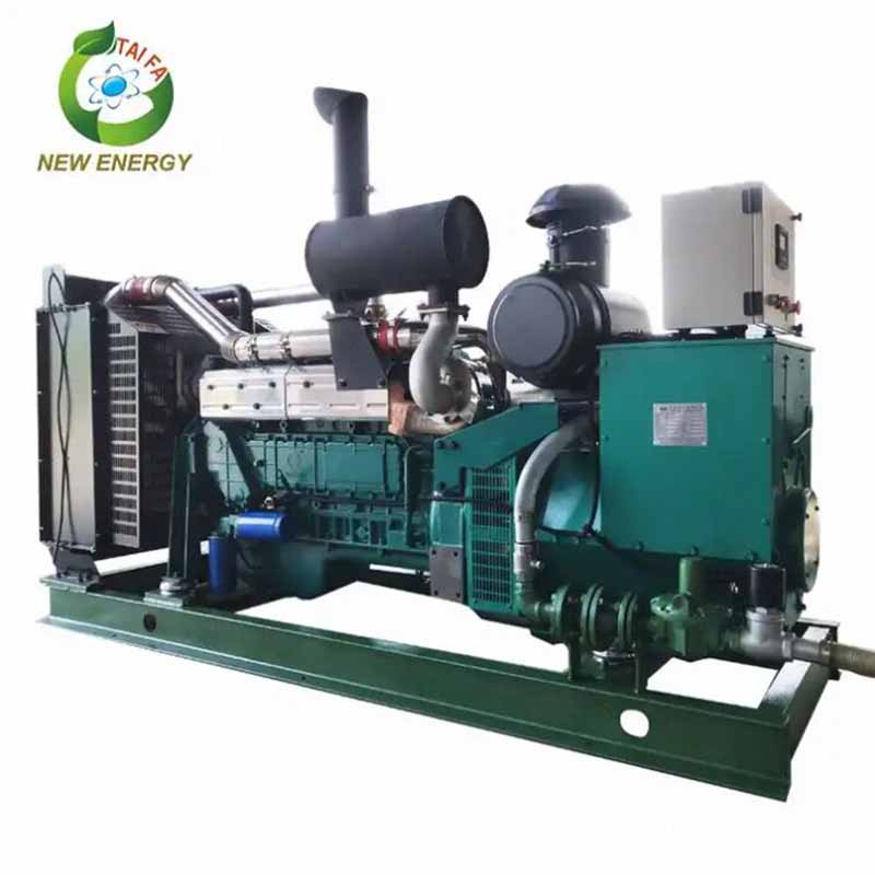 Custom 500KW Biogas Generator Set