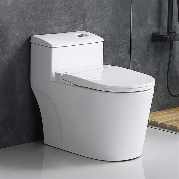The Eco-Friendly Smart Bidet Toile