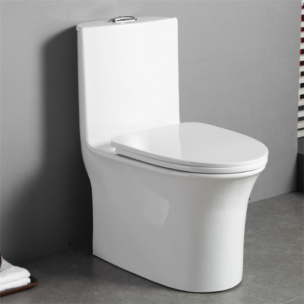 Tips for Designing a Stylish and Functional Water Close