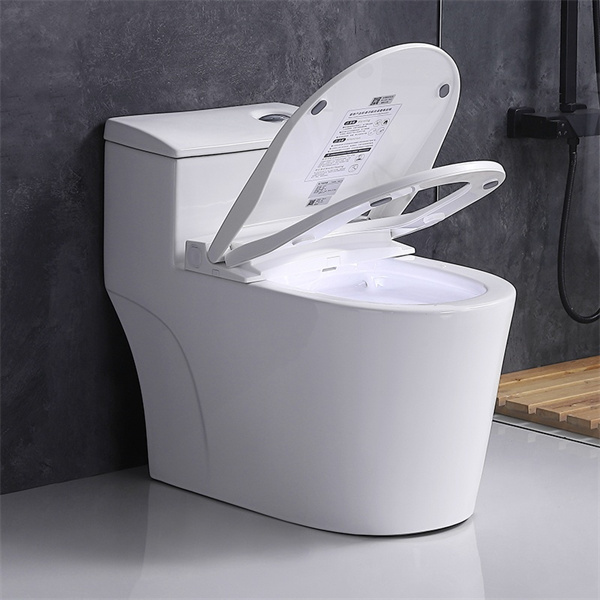 The Smart Bidet Toile
