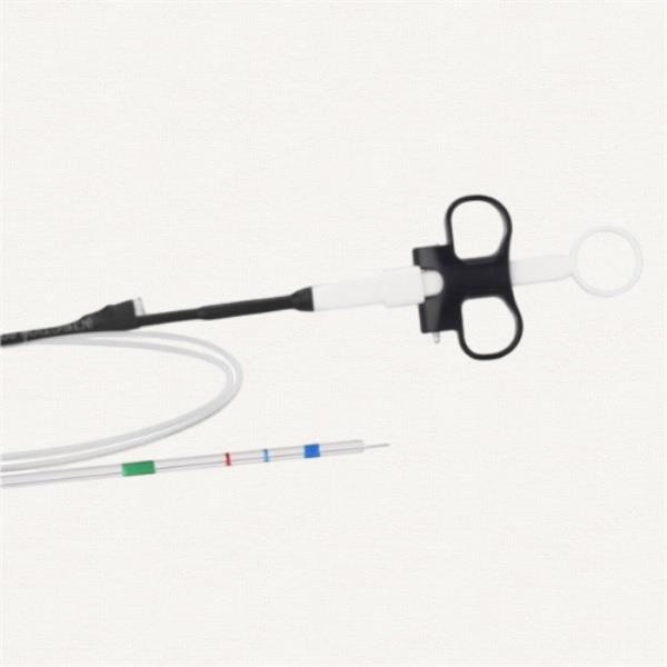 Advanced Endoscopic Technology for Hemorrhoid Relief