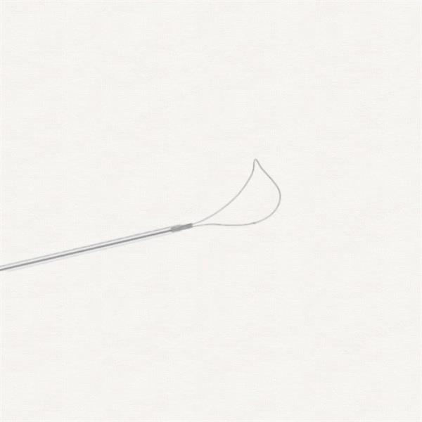How Sterile Cytology Brushes are Improving Patient Outcomes