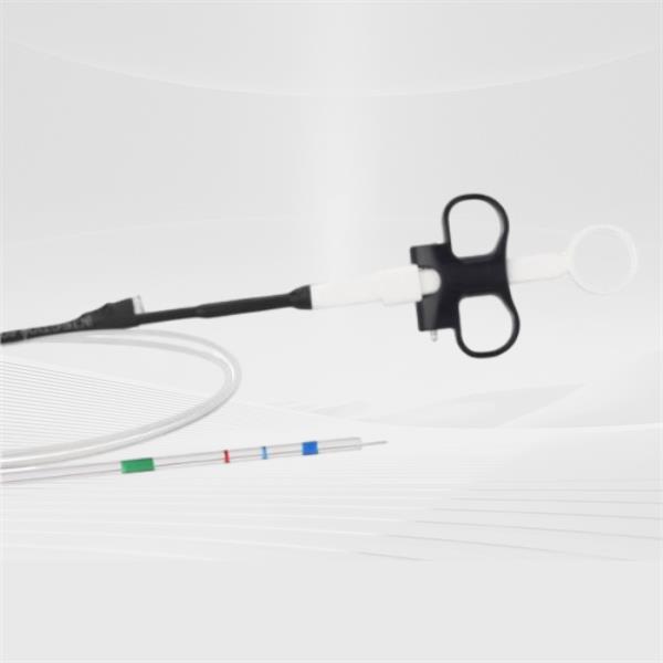 Revolutionizing Hemorrhoid Treatment with Band Ligator Endoscopes