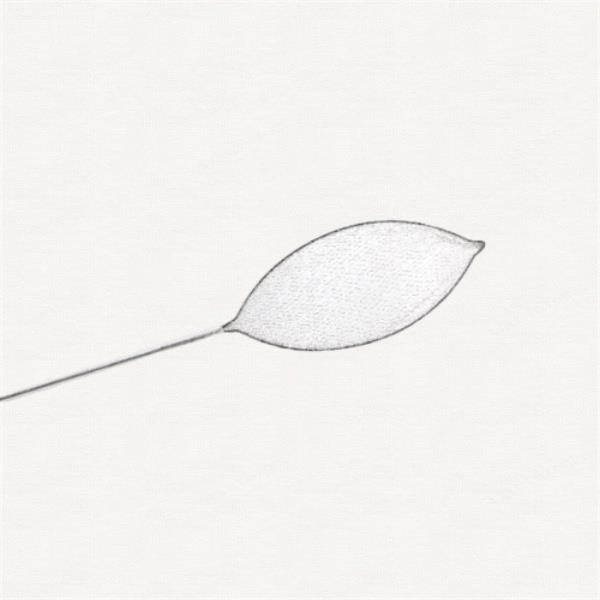 The Go-to Tool for Gallstone Removal