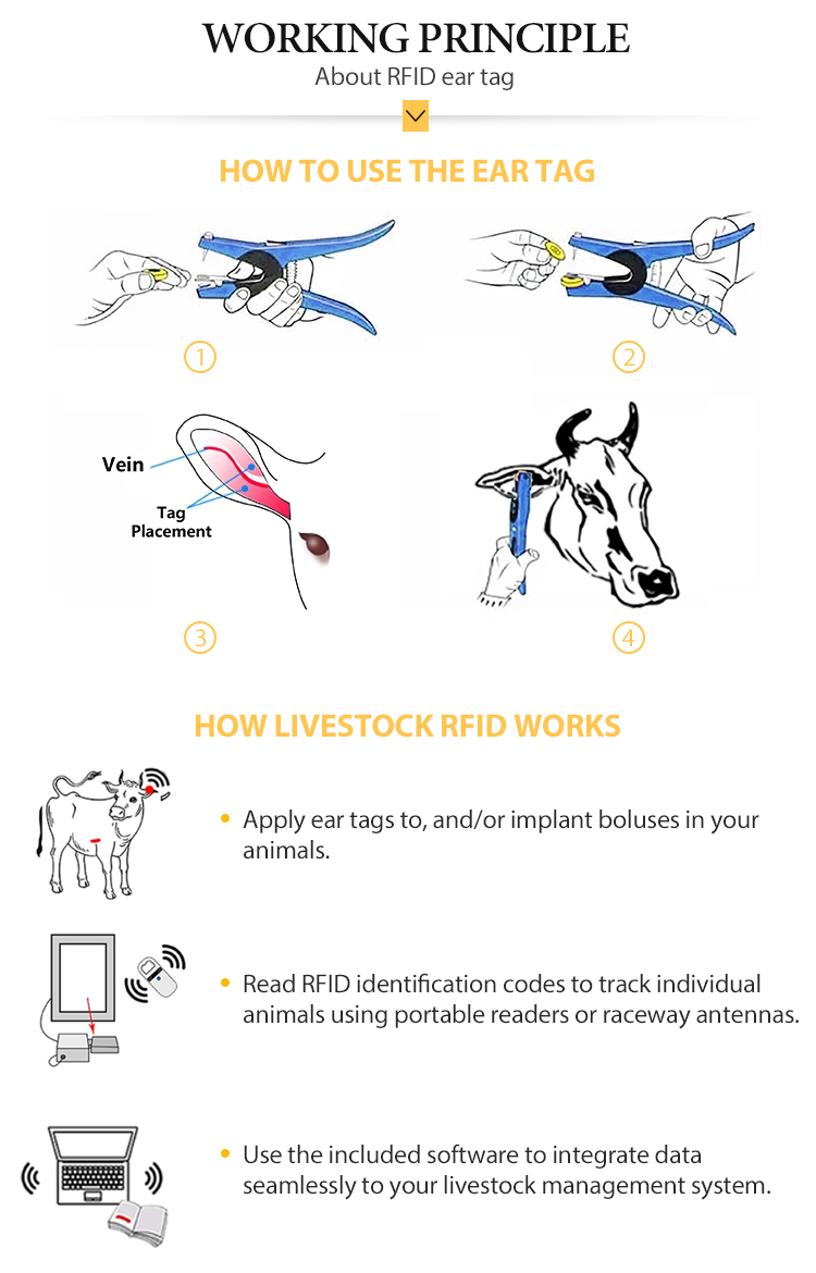 product plastic tpu programmable rfid uhf animal ear tag for cattle-5