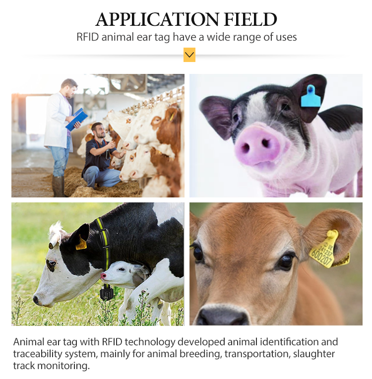 product plastic tpu programmable rfid uhf animal ear tag for cattle-11
