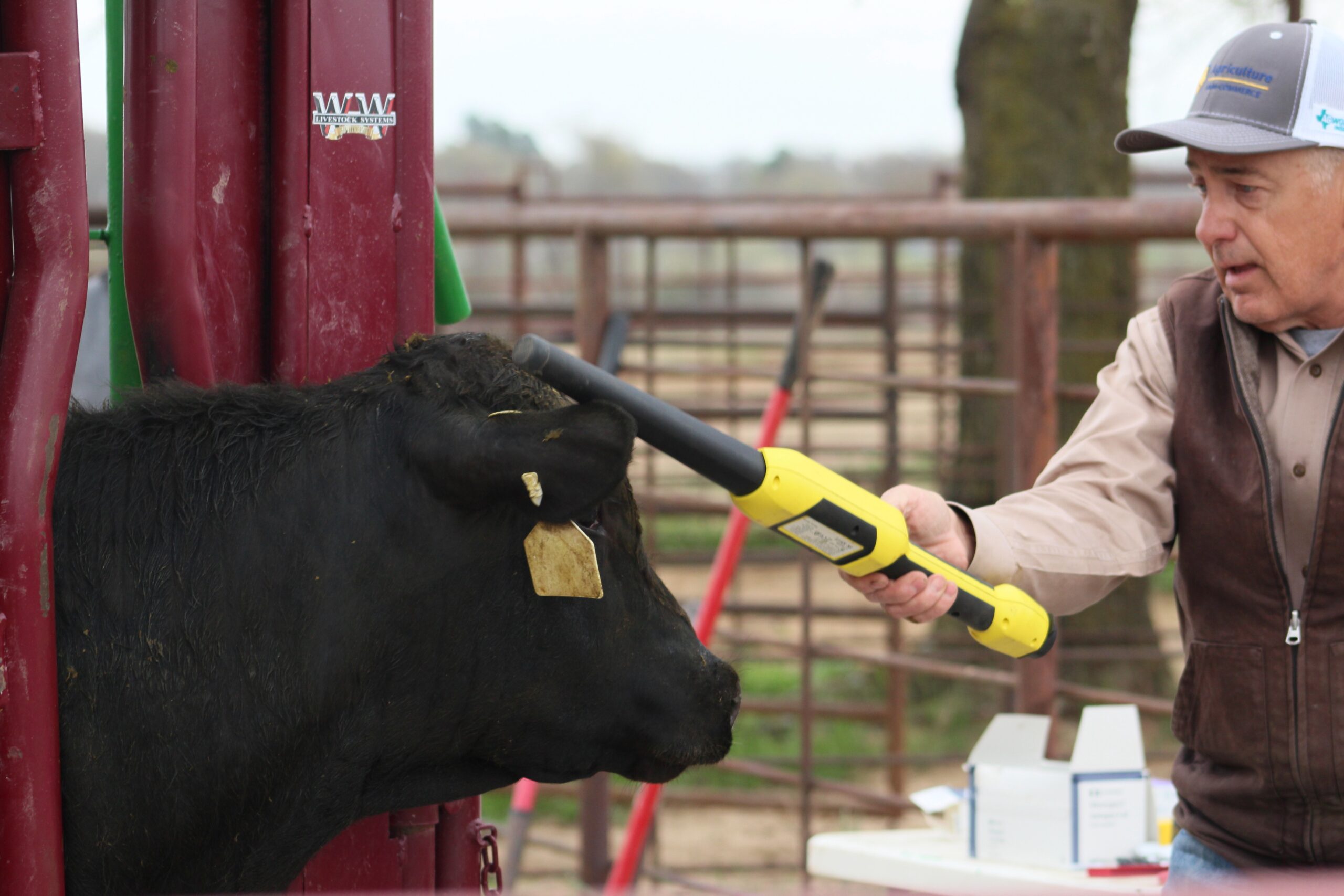 product plastic tpu programmable rfid uhf animal ear tag for cattle-1