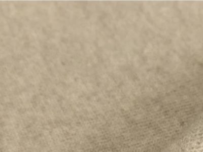 Arundo Fiber Trends: Whats Next in Sustainable Fashion