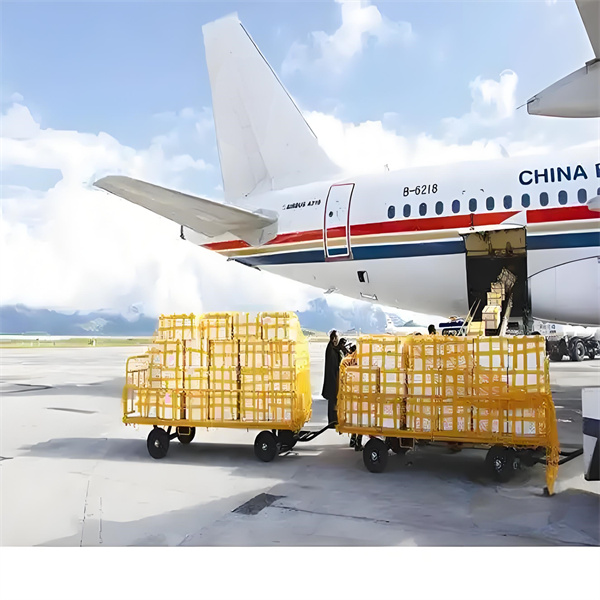 המשרה של הטכנולוגיה בפתרונות תובלה מודרניים ופתרונות.