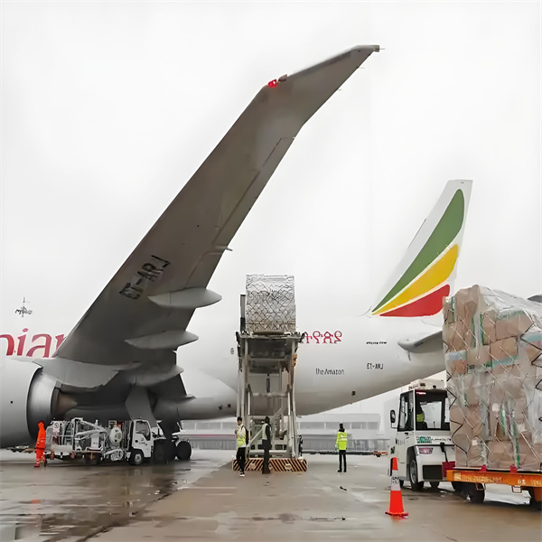 היכר עם המוצרים הטובים ביותר להזמנת דרך דרופשיפינג מיייוו