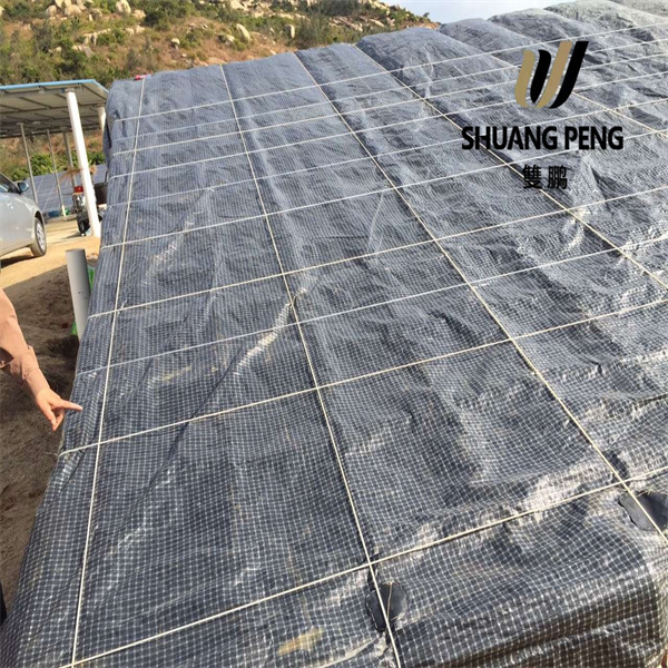 Цоун-ефективно решење за дугорочно покривање стакленика