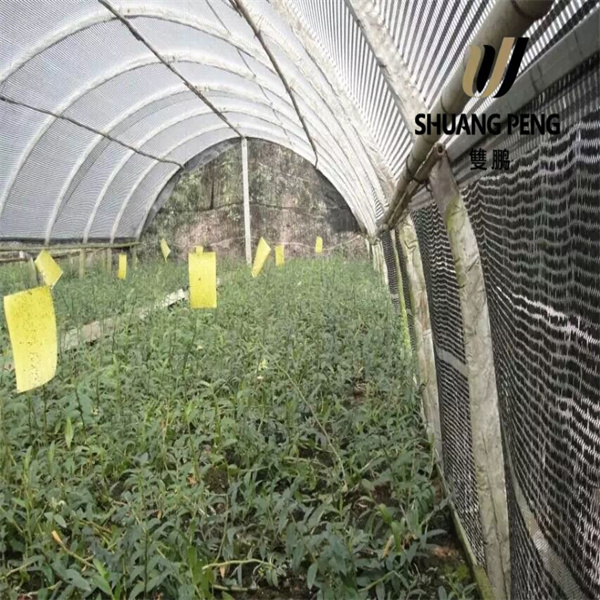 توفير الطاقة باستخدام قماش الظل للصوب الزجاجية