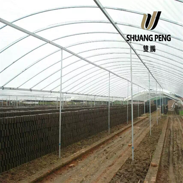 Од чувања штеточина до филтрирања сунчеве светлости.