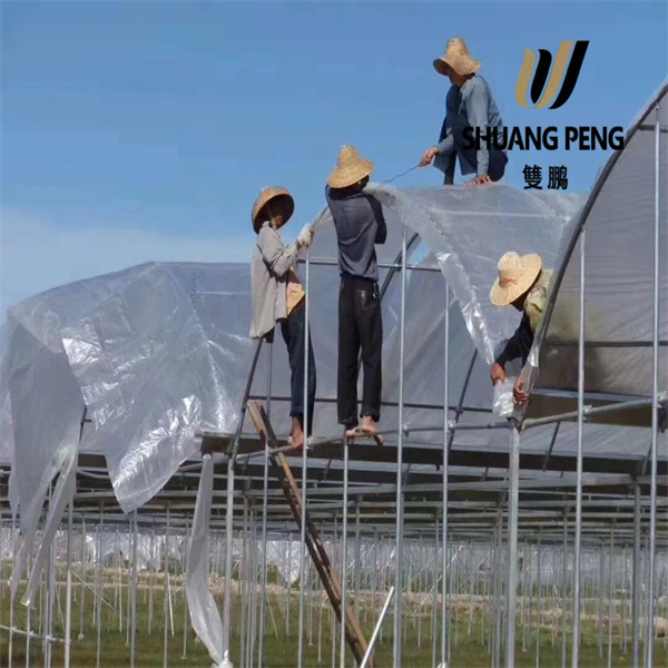 Manfaat Kain Bayangan Rumah Kaca