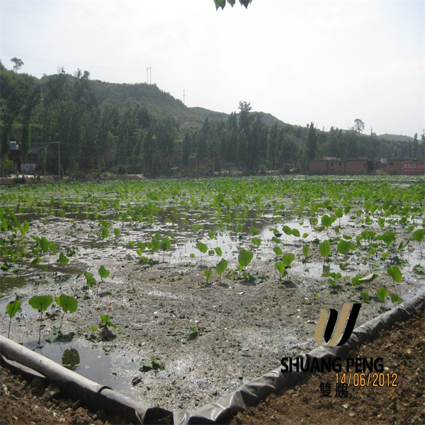 Duursame geotekstielweefselopsies vir langdurige prestasie