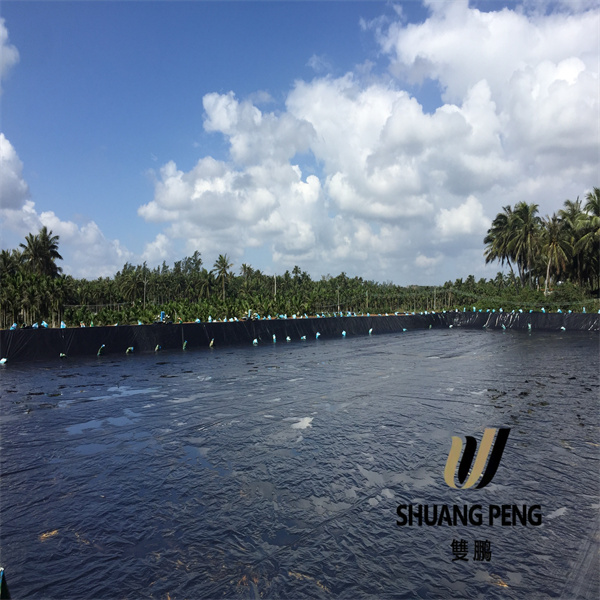 Omvriendelike opsies vir volhoubare infrastruktuurontwikkeling