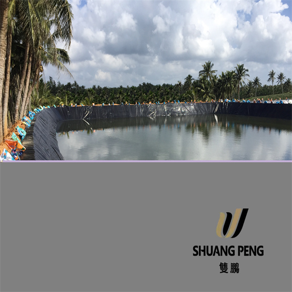 Veelsydige geotekstielweefsel vir landskapsontwerp- en bouprojekte