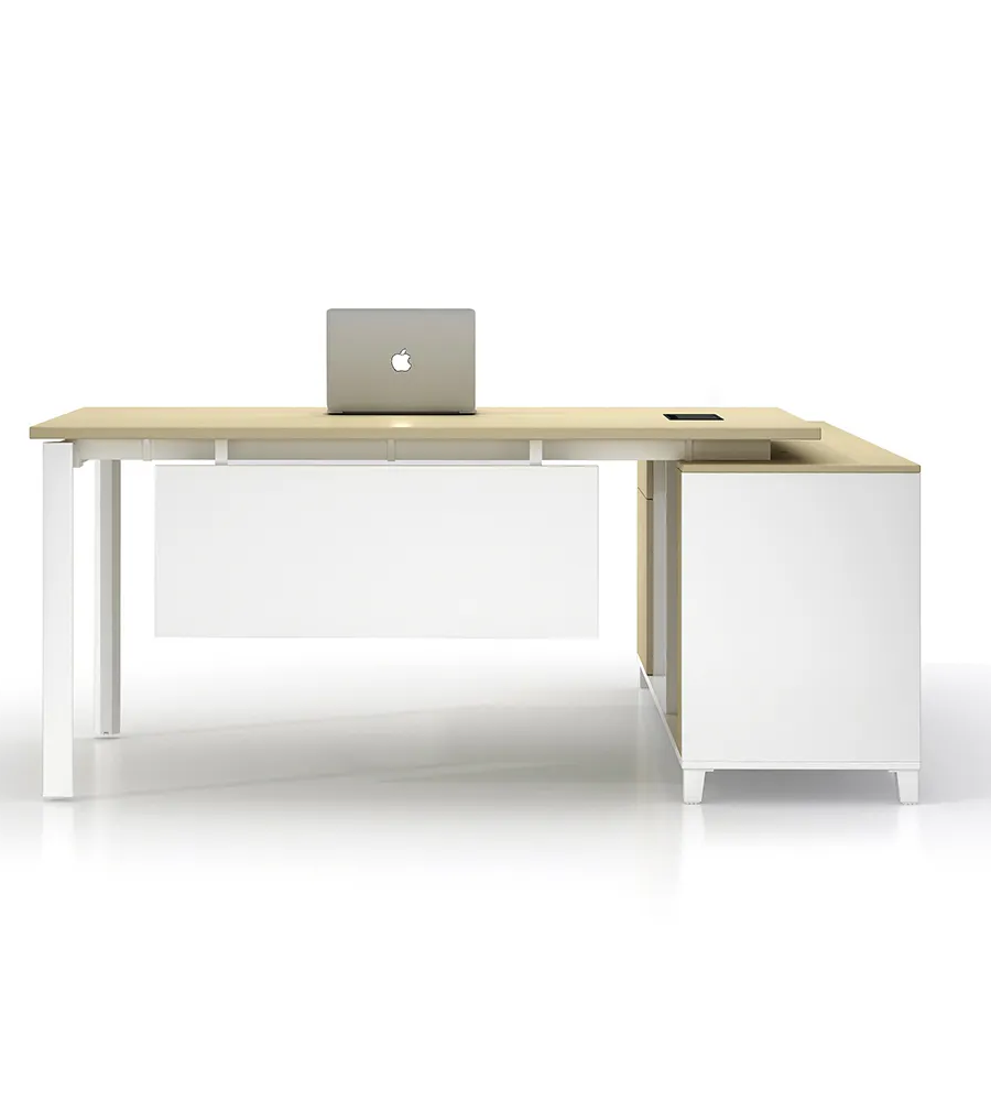 Boost Productivity with NOEL Modern Workstation Desk