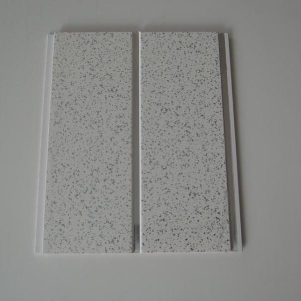 Elevă Designul Interiorului Tău cu Plăci Stiliste PVC pentru Pereți