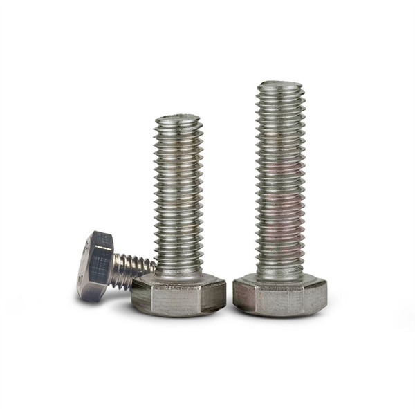 Facile da Installare SS Tower Bolt per un Maggiore Sicurezza in Casa