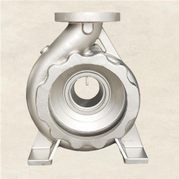 كيف يحسن الفولاذ المقاوم للصدأ كفاءة المضخة؟