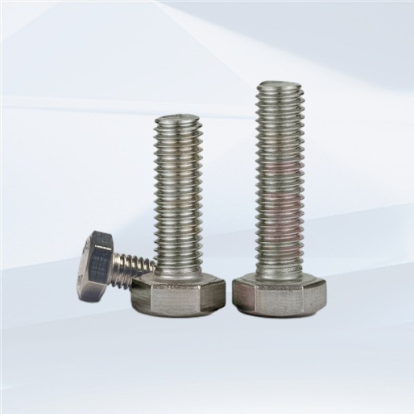 Bulloni per ascensori in acciaio inossidabile per una stabilità a lungo termine