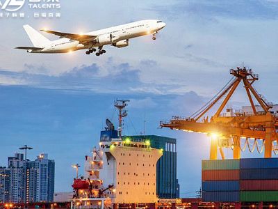 What is the customs clearance process in international logistics?
