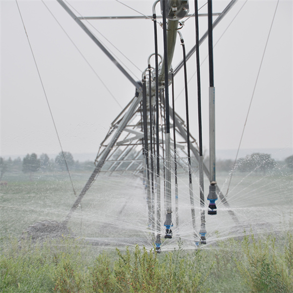 আমাদের পremium উপত্যকা পিভট ব্যবহার করে আপনার কৃষি কার্যক্রম উন্নয়ন করুন