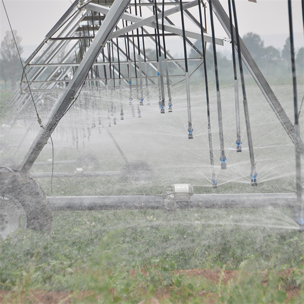 مرکزی پوٹ آئریگیشن کے ذریعے کشاورزی کارکونی کو بہتر بنائیں