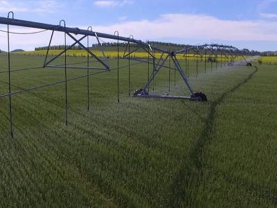 Saving Water with Pivot Irrigation: Smart Practices That Work