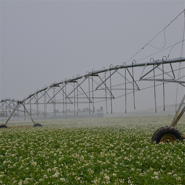 بهینهسازی کارایی آب با فناوری چرخان مرکزی وادی