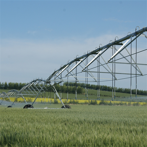 کاریگەرانی زانیاری ناوچەکان لەگەڵ سپردەدانی ڤاتۆی Afko