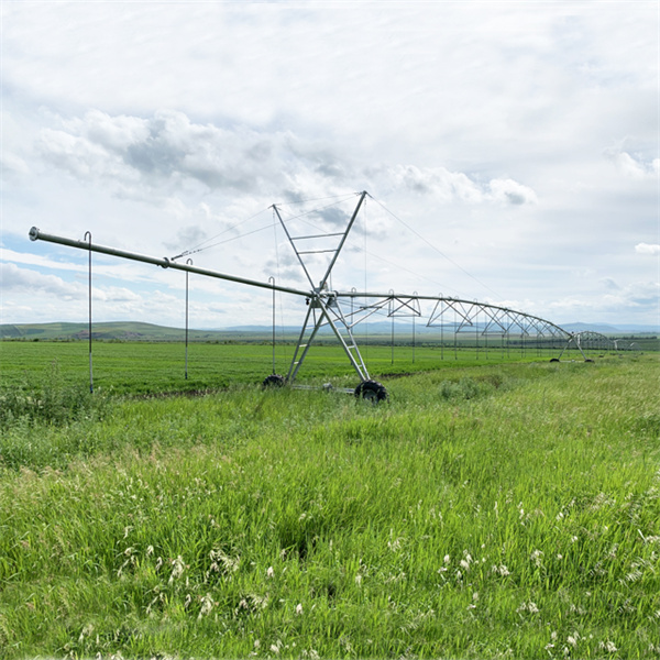 Tarlası için güvenilir sulama ekipmanına yatırım yapın.