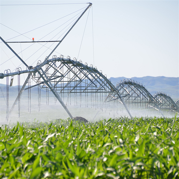 Maksymalizacja plonów upraw przy użyciu nawadniania centralnego obrotu.