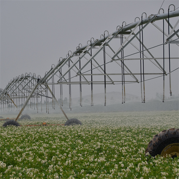 افزایش بهرهوری مزرعه با سیستمهای چرخان مرکزی وادی