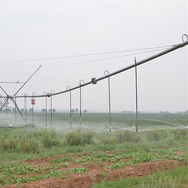 আমাদের উন্নত উপত্যকা পিভট ব্যবহার করে দক্ষতা চরমে তুলুন