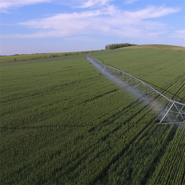 A tengelyközéppont hatalma a harcművészetek mozdulataiban