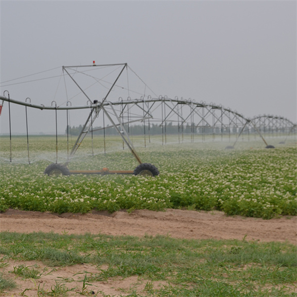 Revolutionando métodos de cultivo para aumentar a produtividade