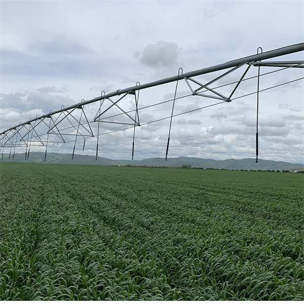 Revolutionerar jordbruket med solenergi och center pivot besvärjningssystem