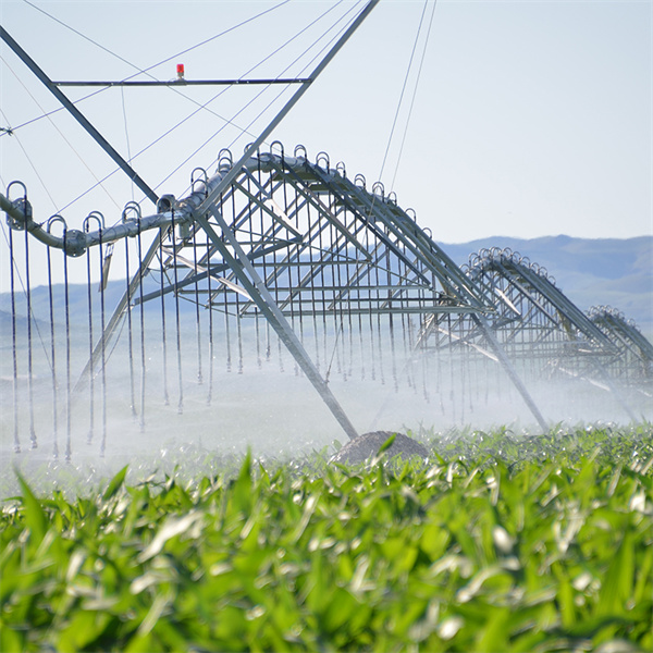 Korzyści related z oszczędnością wody w nawadnianiu centralnym obrocie.