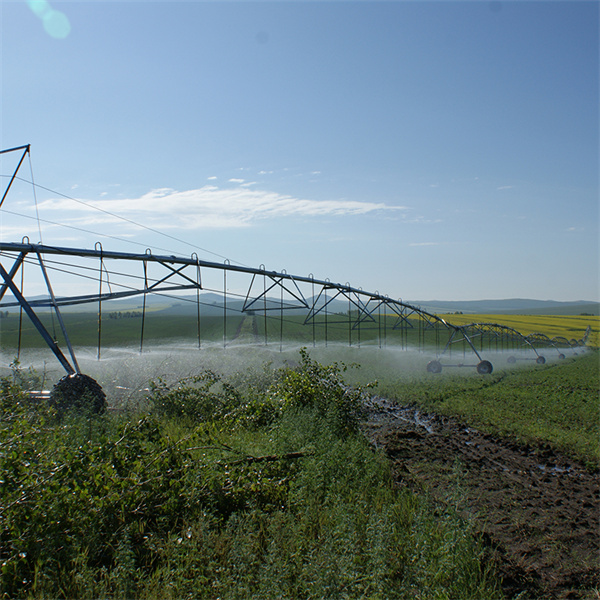 विभिन्न निर्माताओं से केंद्रीय घूर्णन कीमतों की तुलना