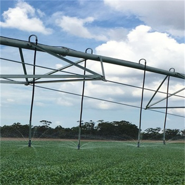 مزايا الري بال啧اف المركزية لعمليات الزراعة على نطاق واسع