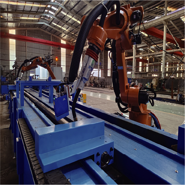 انسان-روبوٹ تعاون کا مستقبل